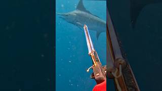 I SPEARED A GIANT MARLIN blackmarlin spearfishing travel [upl. by Bellis697]