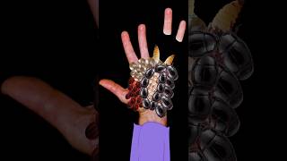 ASMR ticks amp maggots removal animation  severely injured treatment animation asmr animation [upl. by Cralg]