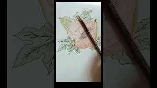 Hii friends today my papaya artlike comment subscribe this channel🖌 [upl. by Yesor156]