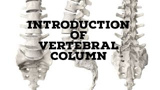 Vertebral column introduction [upl. by Grube127]