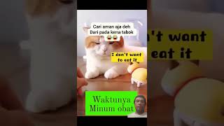 Cara agar Kucing mau minum obat [upl. by Ulrike]