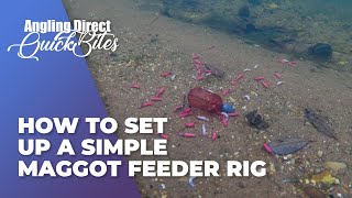 How To Set Up A Simple Maggot Feeder Rig Coarse Fishing Quickbite [upl. by Ellerd649]