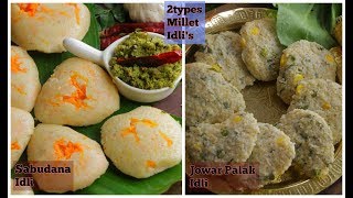 Special Millet Idli  చిరుధాన్యాల ఇడ్లి  ఇంటిల్లిపాదికి పుష్టినిచ్చేఆరోగ్యకరమైన ఇడ్లి [upl. by Annora79]