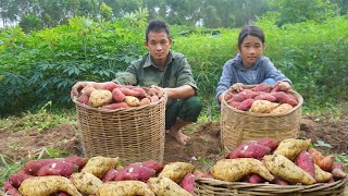 Together with the orphan girltake care of the mother pig and harvest potatoes to sell at the market [upl. by Waechter]