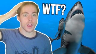 Fish Biologist reacts to quotBiggest Megalodon EVERquot [upl. by Nannerb]