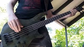 quotAlestormquot Alestorm bass cover [upl. by Leamiba660]