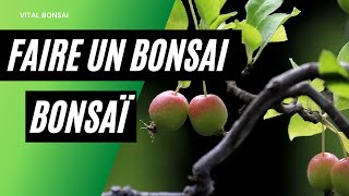 Comment faire un BONSAÏ avec un POMMIER [upl. by Okimik]