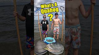 How do you find and catch Quahog Clams Digging for Seafood [upl. by Annahaj161]