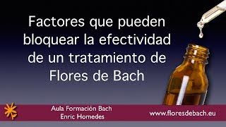 Flores de Bach Factores que pueden bloquear la efectividad de un tratamiento [upl. by Caundra632]