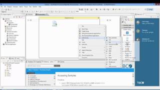 BusinessWorks Tutorial to Build a FilePoller applicaton [upl. by Dorothee301]