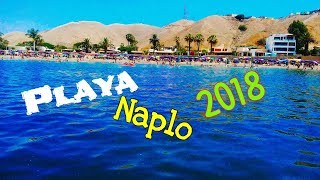 NAPLO  playa favorita 2018 [upl. by Eiralam12]