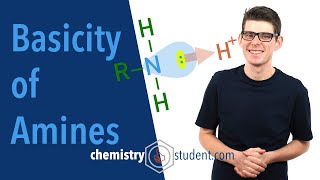 Amines  Basicity Alevel Chemistry [upl. by Eahsan48]