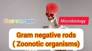 Gram Negative Rods Related To Animal Sources  Microbiology  MAT MEDICOS [upl. by Orelee945]