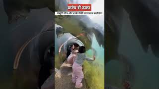 पानी के नीचे बनी वाटर स्लाइड   Dubai underwater water slide  dubai [upl. by Hieronymus]