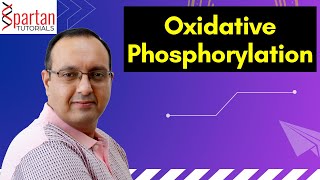 Oxidative Phosphorylation CSIR NET Life Sciences Unit 1 L19 [upl. by Ajaj106]