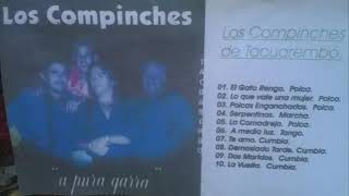 los compinches de tacuarembo el gato rengo polca [upl. by Anawit]