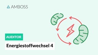 Energiestoffwechsel Teil 4  Fettsäuren und CarnitinCarrier  AMBOSS Auditor [upl. by Niotna]