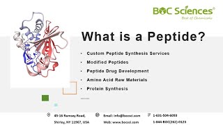 What is a Peptide  Peptides  Amino Acids  Peptide Synthesis  BOC Sciences [upl. by Salomon]