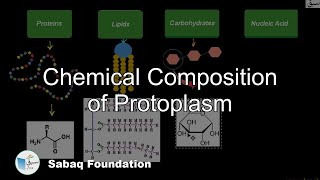 Chemical Composition of Protoplasm Biology Lecture  Sabaqpk [upl. by Hawken]