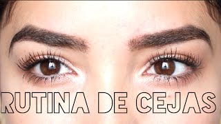 RUTINA DE CEJAS 2015  heyitspriscila [upl. by Salene]