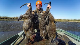 Hunting GIANT Marsh RATS for Food  Louisiana Nutria Hunting and Cooking [upl. by Moreland]