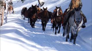 Leading horses and mules out of backcountry [upl. by Loveridge]