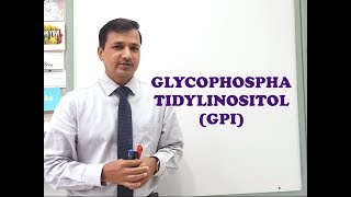 Glycophosphatidylinositol GPI  A Quick Review [upl. by Yelhsa]