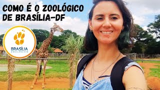 Como é o zoológico de Brasília  Valor da entrada e o que pode levar [upl. by Killigrew]