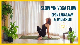 Slow yin yoga flow  stretch je onderrug  Nederlandse les [upl. by Mendez747]