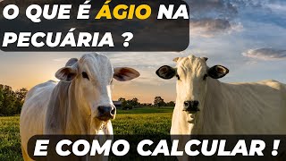 O que é ÁGIO na pecuária  e como calcular [upl. by Zurheide291]