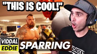 Summit1g Reacts to EDDIE HALL VS VIDDAL RILEY  FULL SPARRING VIDEO [upl. by Wehttam734]