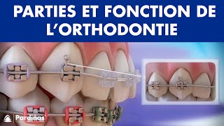 Appareil dentaire – Parties et fonction de l’orthodontie © [upl. by Medlin]