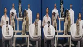 OK Go  White Knuckles  Official 3D Video [upl. by Tisman]