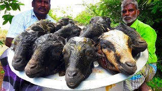 10 Goat Heads Recipe Lamb Head Curry in my village food fun village [upl. by Jamison]