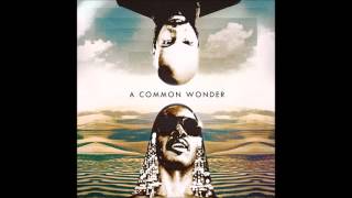 Amerigo Gazaway  A Common Wonder Full Album HD [upl. by Enicar]