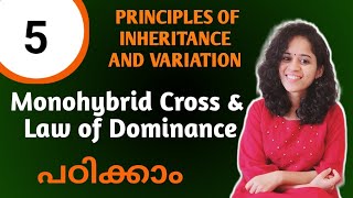 MONOHYBRID CROSS PRINCIPLES OF INHERITANCE AND VARIATION NCERT NEET BIOLOGY 12 MALAYALAM [upl. by Latashia962]