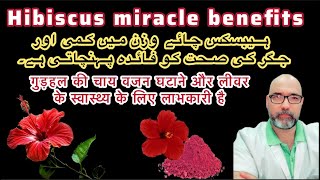 Hibiscus tea or supplements magical health benefits  Urdu hindi [upl. by Brand]