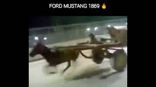 Ford Mustang 1869 [upl. by Jerrilee]