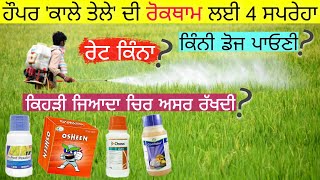 4 Insecticide for Paddy brown plant hopper BPH control  agri advice [upl. by Mosby]