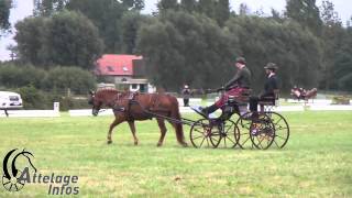 Gilles Pirotte Dressage Championnat de Belgique 2014 [upl. by Montgomery]