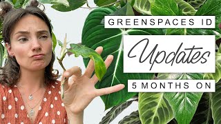 The Struggle Is Real 😂 Greenspaces ID Imported Plants 5 Month Update [upl. by Tifanie]