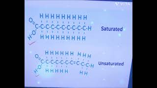 ⭐️Lipids⭐️quick review [upl. by Sension]