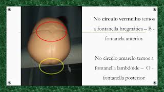 Sutura e fontanellas do feto cuidadosnoparto [upl. by Otilopih]