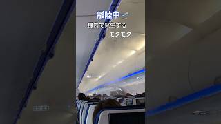 離陸中🛫機内で発生するモクモク🤔 [upl. by Cherilyn]