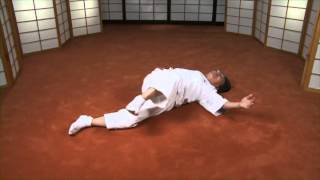 Ohashi Method® Exercises for Lower Back Pain  Crosspatterning [upl. by Damaris38]