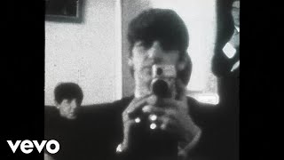 Ringo Starr  Adeline Visualizer [upl. by Barnebas]