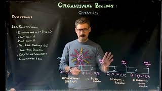 Course Overview Organismal Biology [upl. by Strenta]