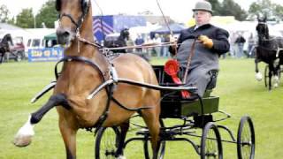 National hackney Show Ardingly 2009 [upl. by Walczak]