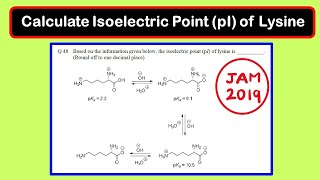 Calculate Isoelectric point of Lysine  Amino acid  JAM 2019 Chemistry [upl. by Geldens758]