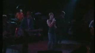 Australian Crawl  Downhearted  Live 1982 [upl. by Essila]